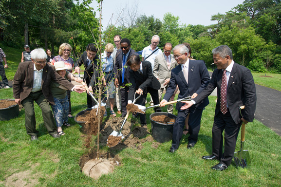 A New Sakura Tree Project Celebrates Municipal Friendship